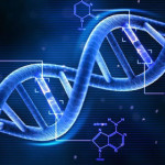 Test DNA